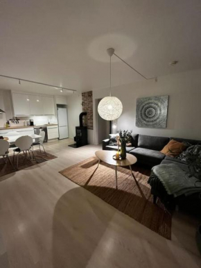 Sentral og lys leilighet med stor uteplass og gratis parkering